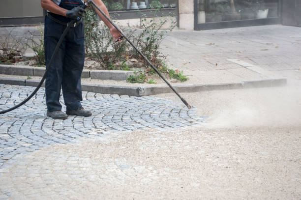 Best Gutter Cleaning  in Gilroy, CA